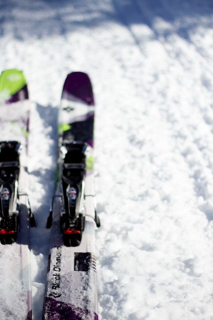 Photo By: Colt Fetters EditL By Jess Brown