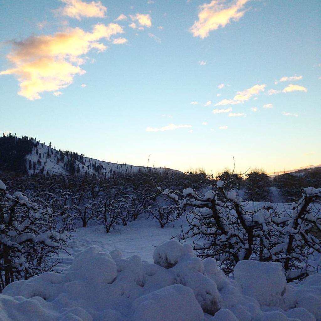 12621974_10207528993595715_5366099227379171543_o